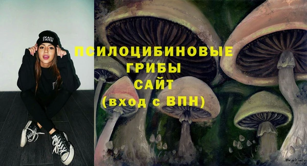 мдпв Бородино