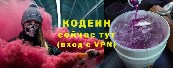 мдпв Бородино